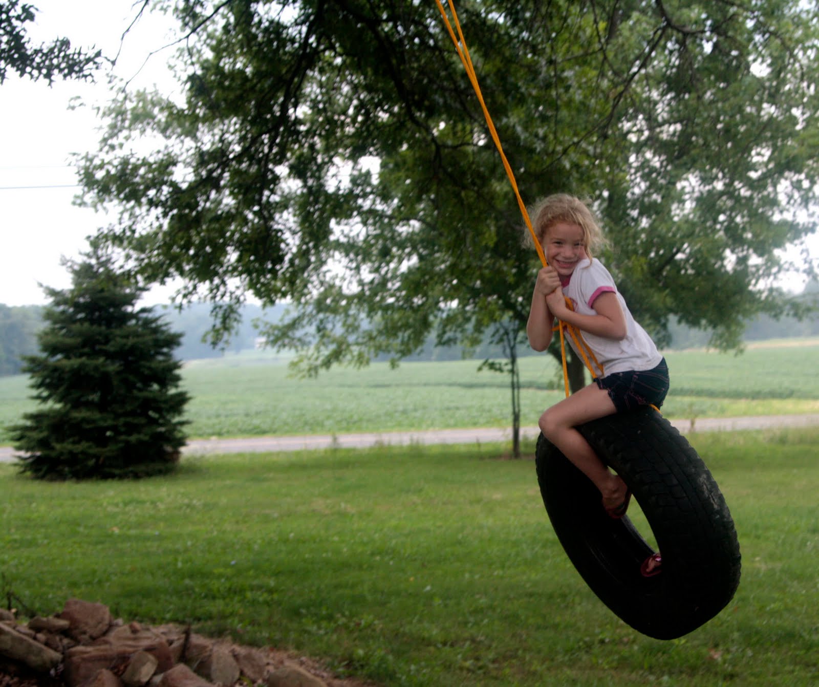 Asian adult blu ray for rent Swinging tree tires